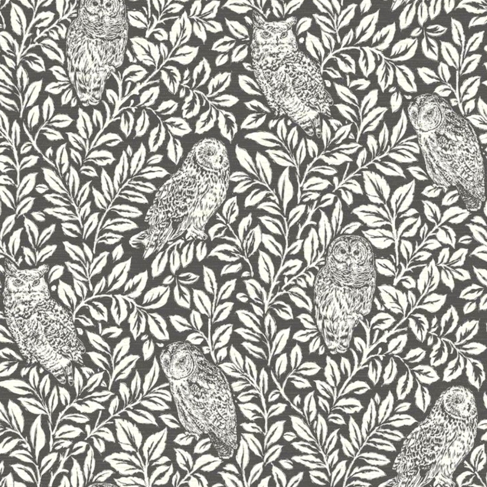 Wallpaper Parliament Owl Black &White